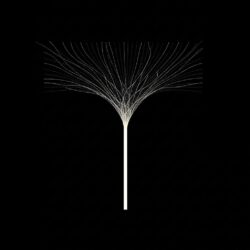 Metáfora visual de una intención clara colapsando el campo de infinitas posibilidades en una sola dirección.